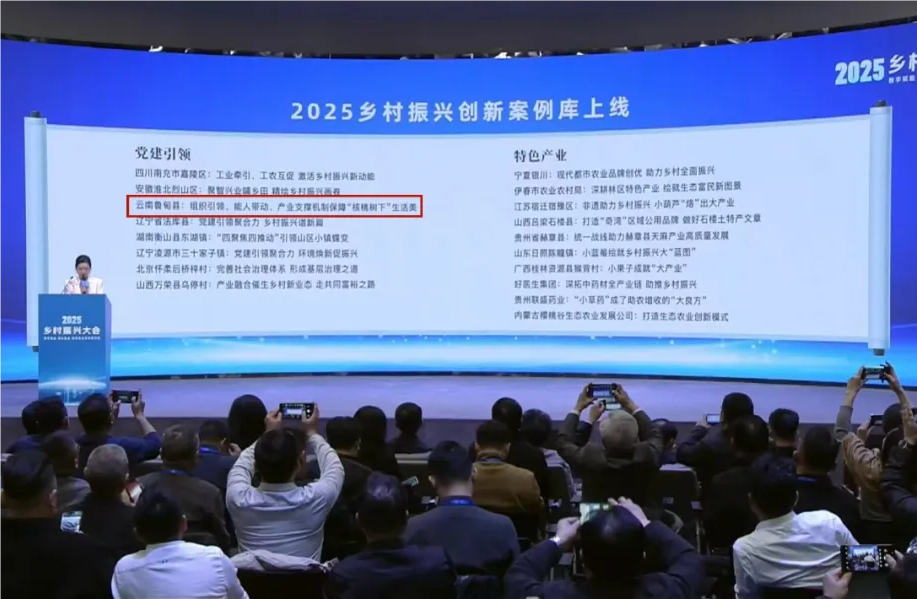 保利CC宝案例入选人民网“2025墟落振兴立异案例库”